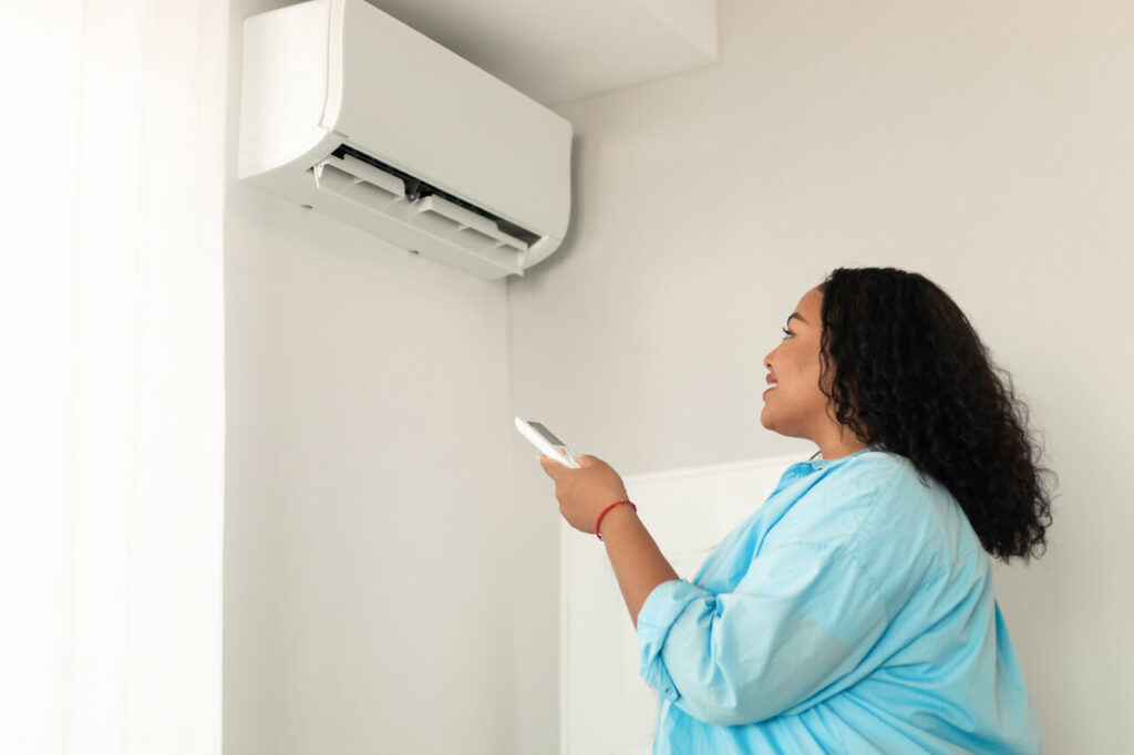 ductless mini split